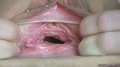Hermosas hentai en español latino chicas bromeando en la piscina